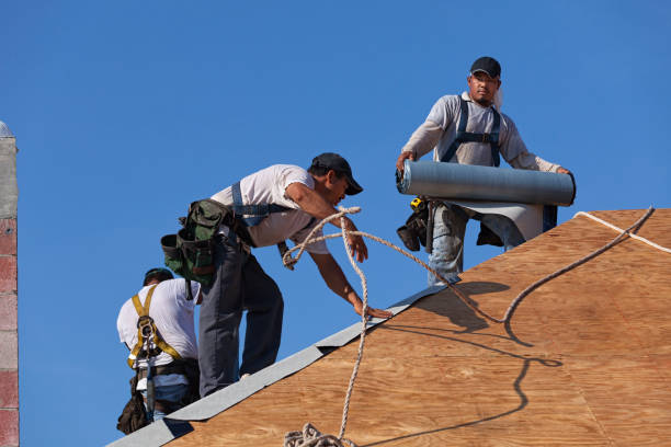 Best New Roof Installation  in Elberton, GA
