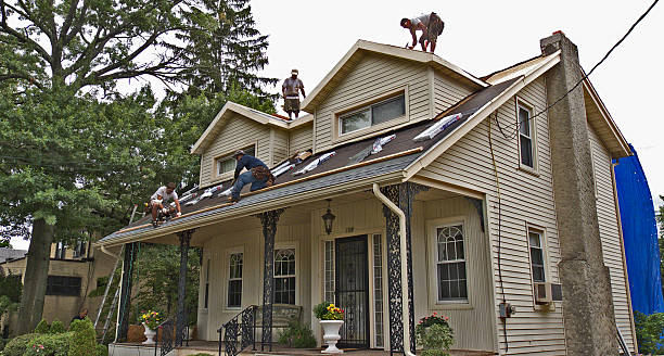 Best Shingle Roofing Installation  in Elberton, GA